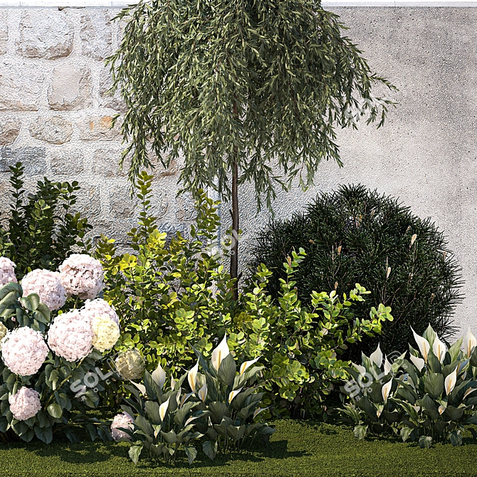 Landscape Plant Collection: Silverberry, Olive, Berberis, Thuja, Hydrangea 3D model image 12