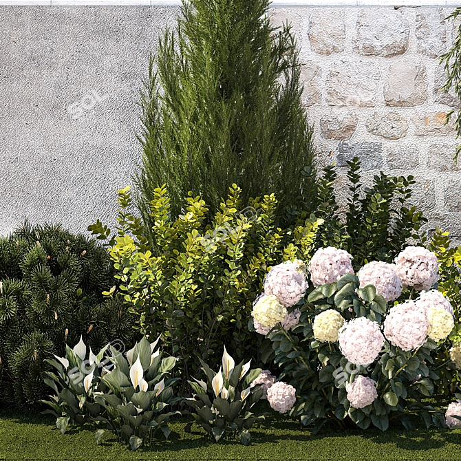 Landscape Plant Collection: Silverberry, Olive, Berberis, Thuja, Hydrangea 3D model image 13