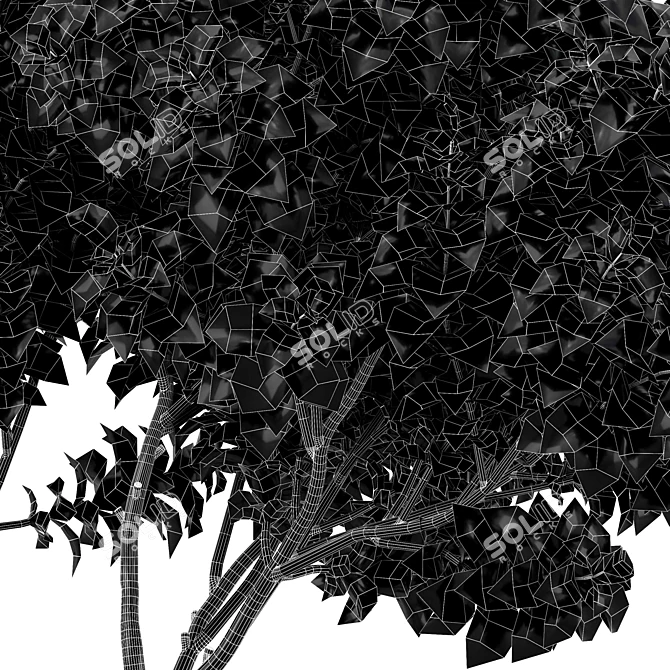 Exotic Tree Models Collection 3D model image 7