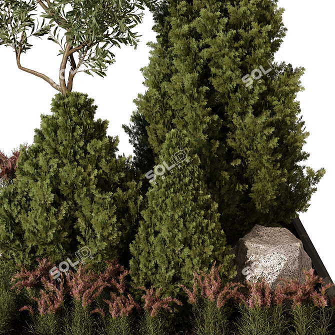Outdoor Plant 252 V-Ray 3D Model 3D model image 2