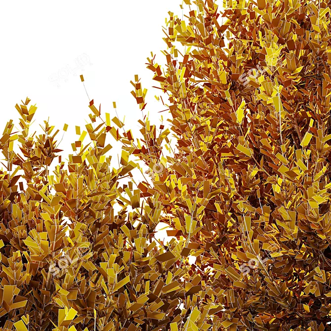 Little Ollie Dwarf Olive Bush 3D model image 5