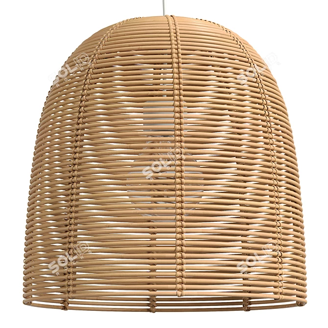 Vivi Large Rattan Pendant Lamp 3D model image 1