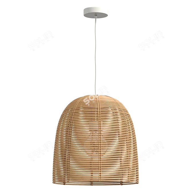 Vivi Large Rattan Pendant Lamp 3D model image 2