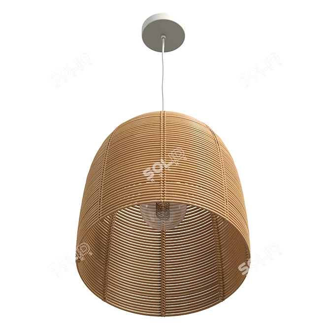 Vivi Large Rattan Pendant Lamp 3D model image 4