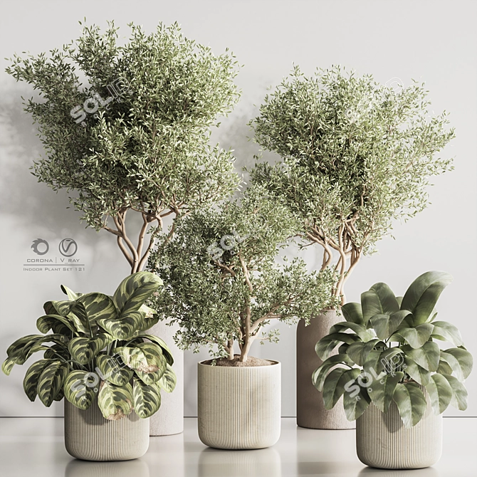 Modern Indoor Plant Set 121 3D model image 1