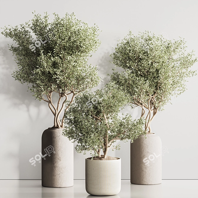 Modern Indoor Plant Set 121 3D model image 2