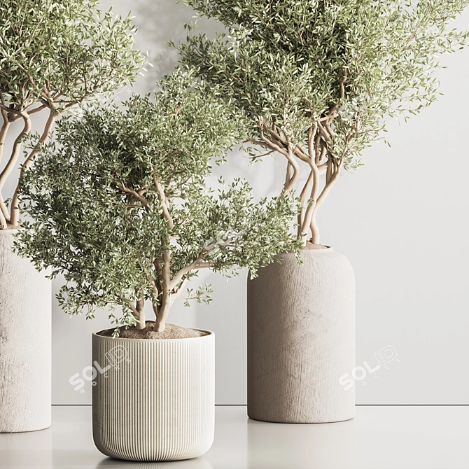 Modern Indoor Plant Set 121 3D model image 3