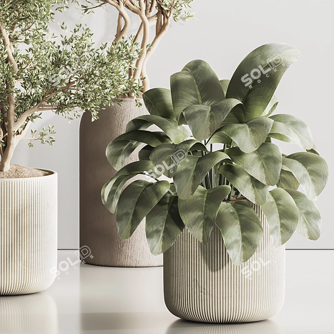 Modern Indoor Plant Set 121 3D model image 4