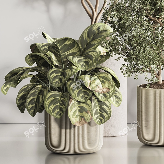 Modern Indoor Plant Set 121 3D model image 5