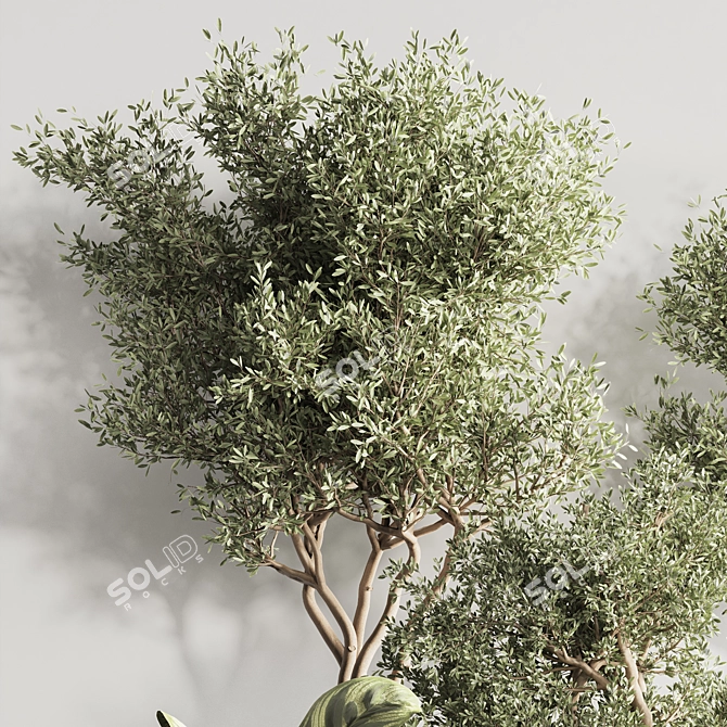 Modern Indoor Plant Set 121 3D model image 6