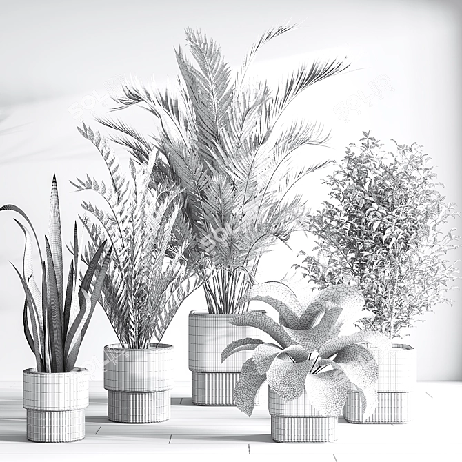 Modern Indoor Plant Set 3D 3D model image 2