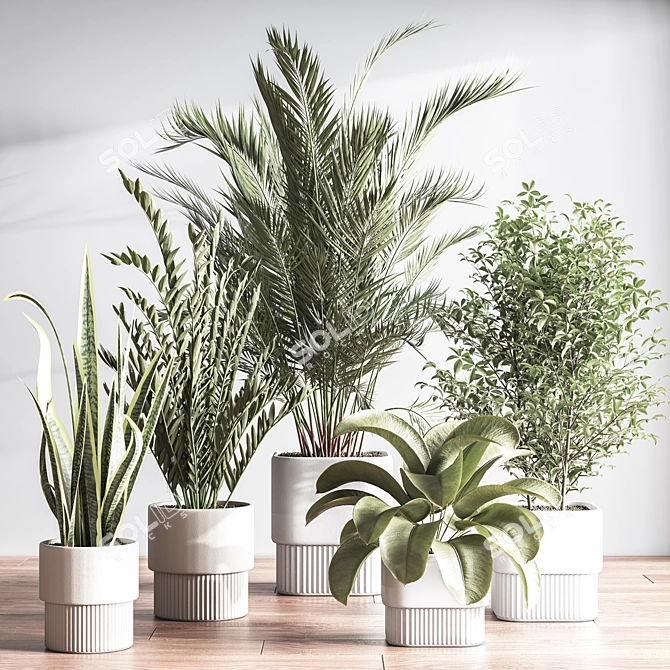 Modern Indoor Plant Set 3D 3D model image 3