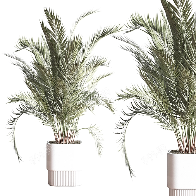 Modern Indoor Plant Set 3D 3D model image 4