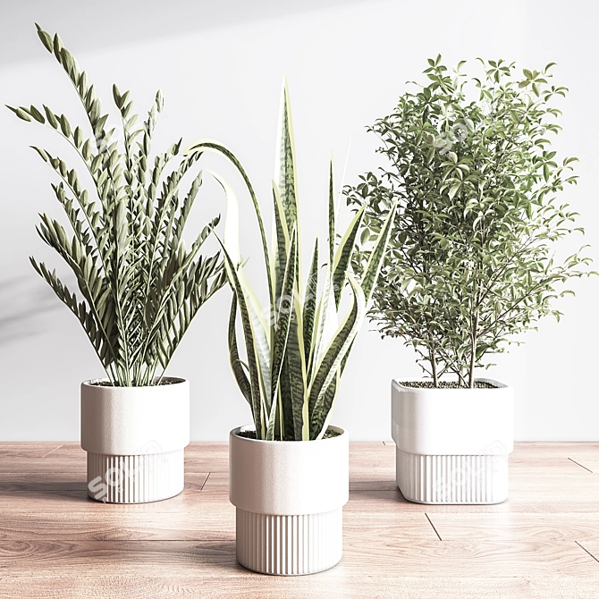 Modern Indoor Plant Set 3D 3D model image 6