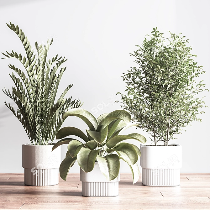 Modern Indoor Plant Set 3D 3D model image 7