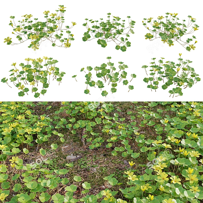  Diverse 3D Plant Models Collection 3D model image 1