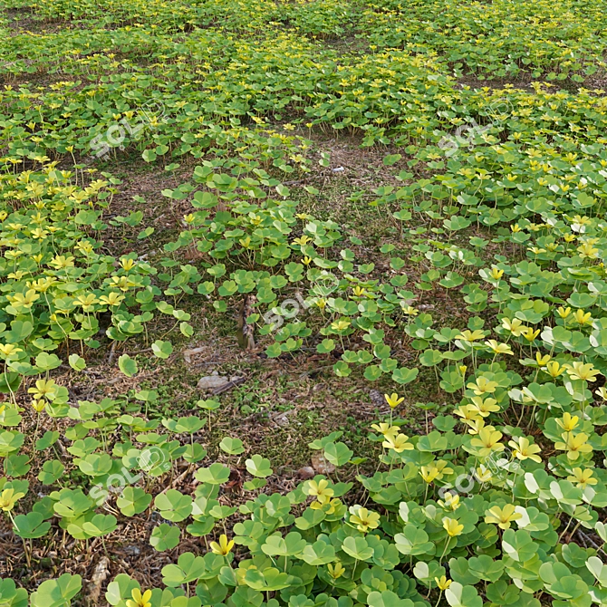  Diverse 3D Plant Models Collection 3D model image 2