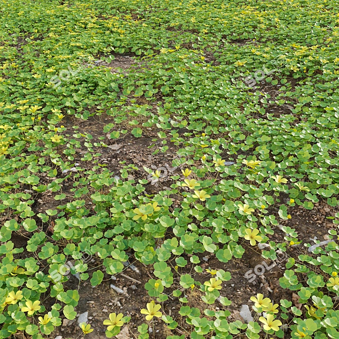  Diverse 3D Plant Models Collection 3D model image 3