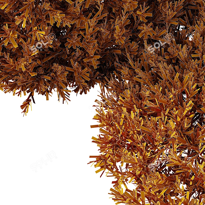 Variety 3D Olive Bush Models 3D model image 4