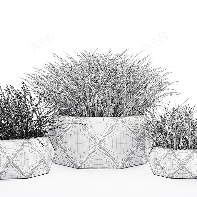 Vray Render Outdoor Plant 3D 3D model image 5