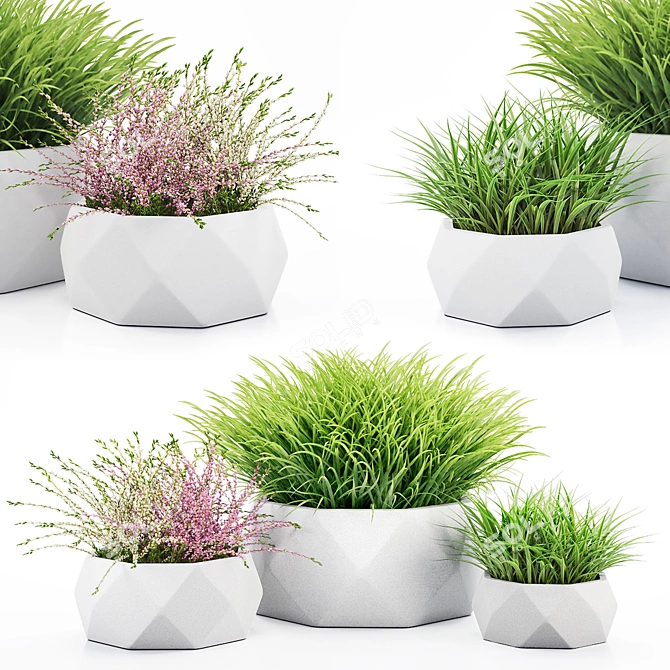 Vray Render Outdoor Plant 3D 3D model image 6