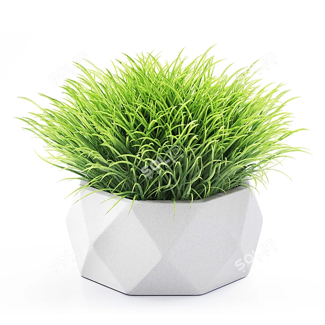 Vray Render Outdoor Plant 3D 3D model image 7