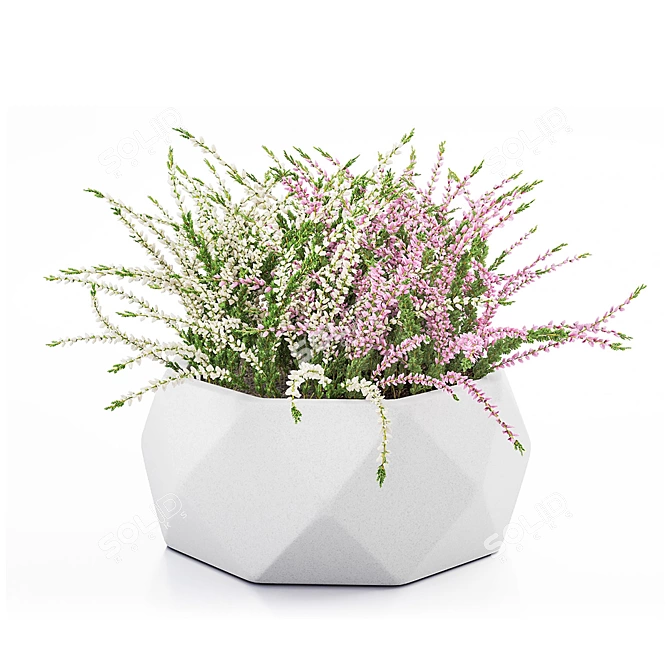 Vray Render Outdoor Plant 3D 3D model image 9