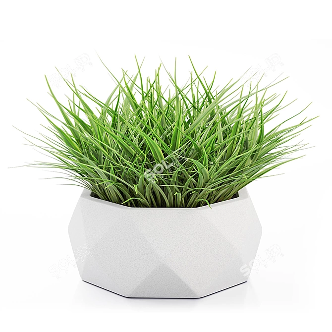 Vray Render Outdoor Plant 3D 3D model image 11