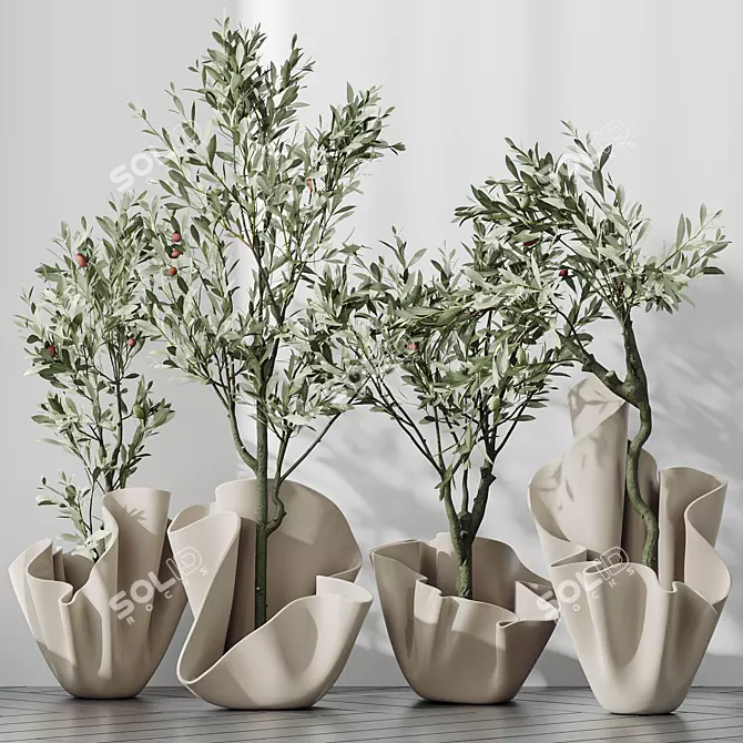 Dwarf Olive Tree Indoor Set 3D model image 2