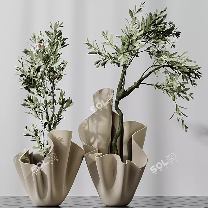 Dwarf Olive Tree Indoor Set 3D model image 4