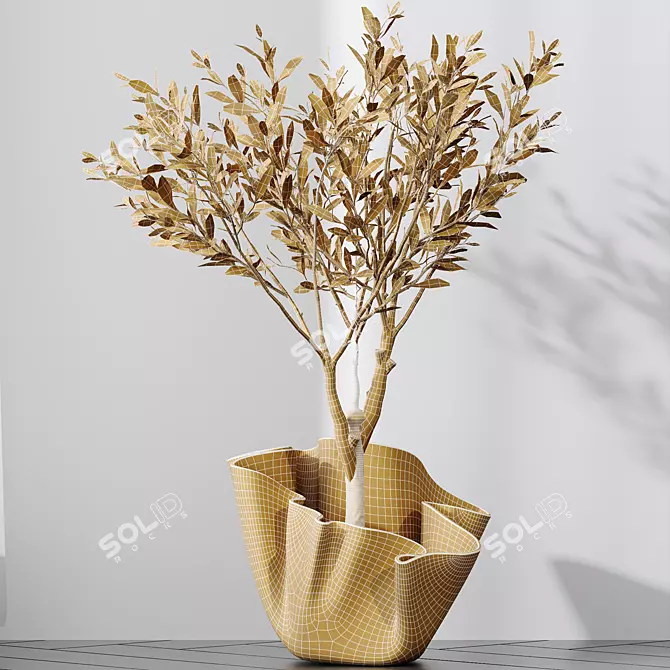 Dwarf Olive Tree Indoor Set 3D model image 5