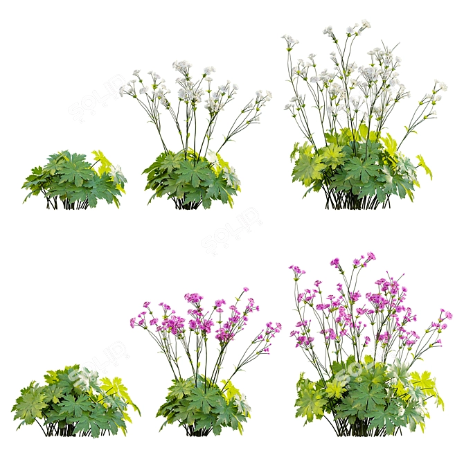 Advanced 3D Plant Models Collection 3D model image 1