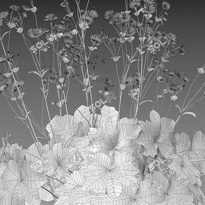 Advanced 3D Plant Models Collection 3D model image 4