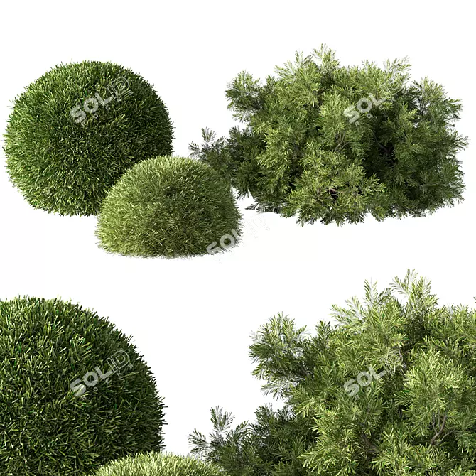 Versatile Bush Set for 3D 3D model image 1