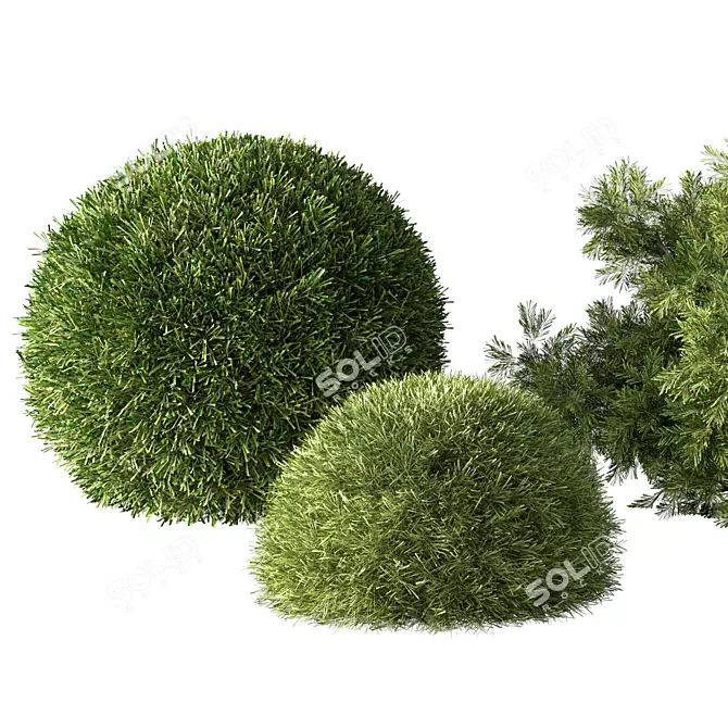 Versatile Bush Set for 3D 3D model image 2