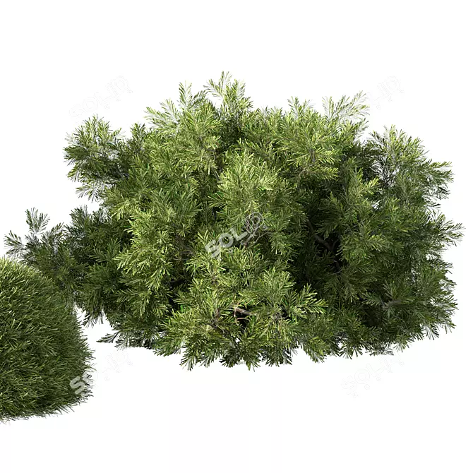 Versatile Bush Set for 3D 3D model image 3