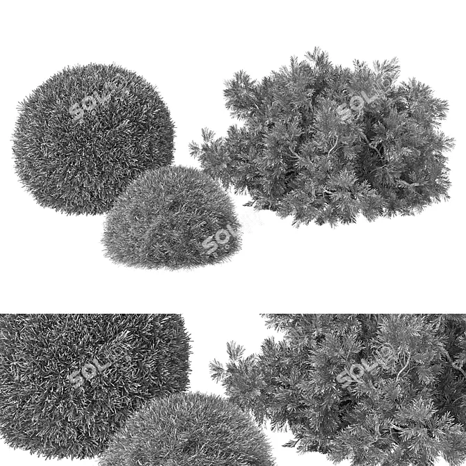 Versatile Bush Set for 3D 3D model image 4