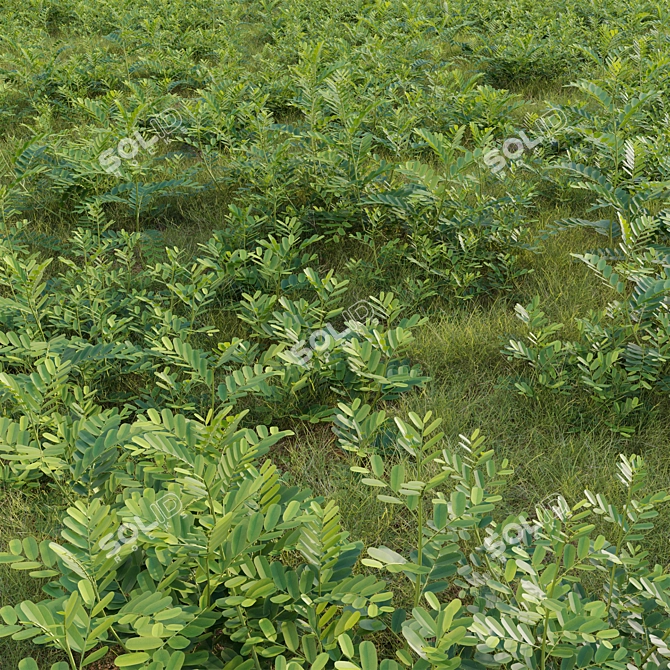 Versatile 3D Plant Modeling Collection 3D model image 4