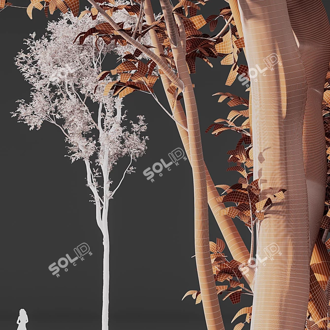 Forest Tree 3D Models Set 3D model image 5