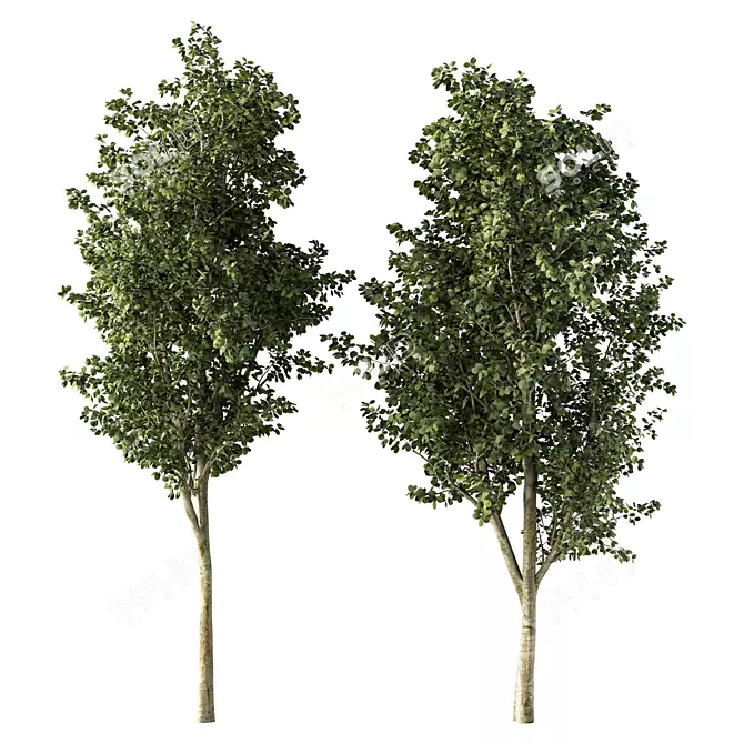  Skyline Beauty Tree Sculpture 3D model image 1