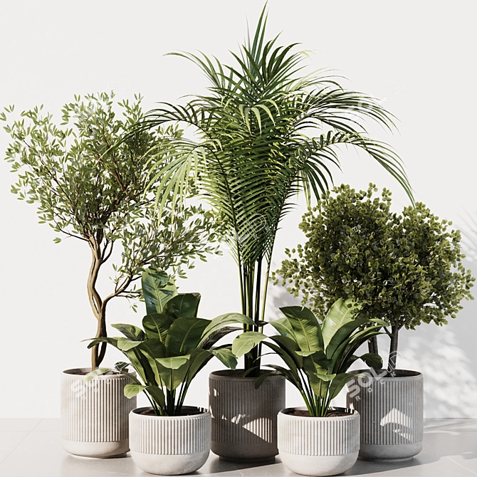 Modern Indoor Plant Set 2016 3D model image 1