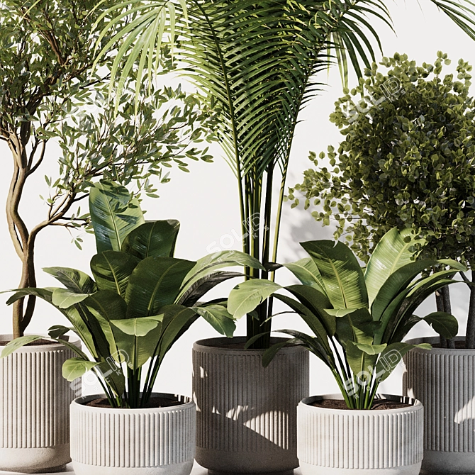 Modern Indoor Plant Set 2016 3D model image 2