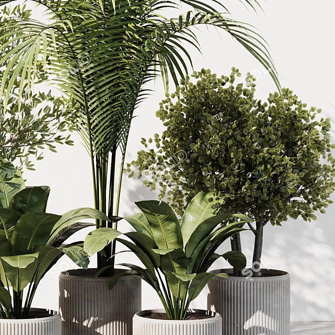 Modern Indoor Plant Set 2016 3D model image 4