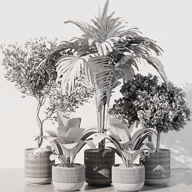 Modern Indoor Plant Set 2016 3D model image 5