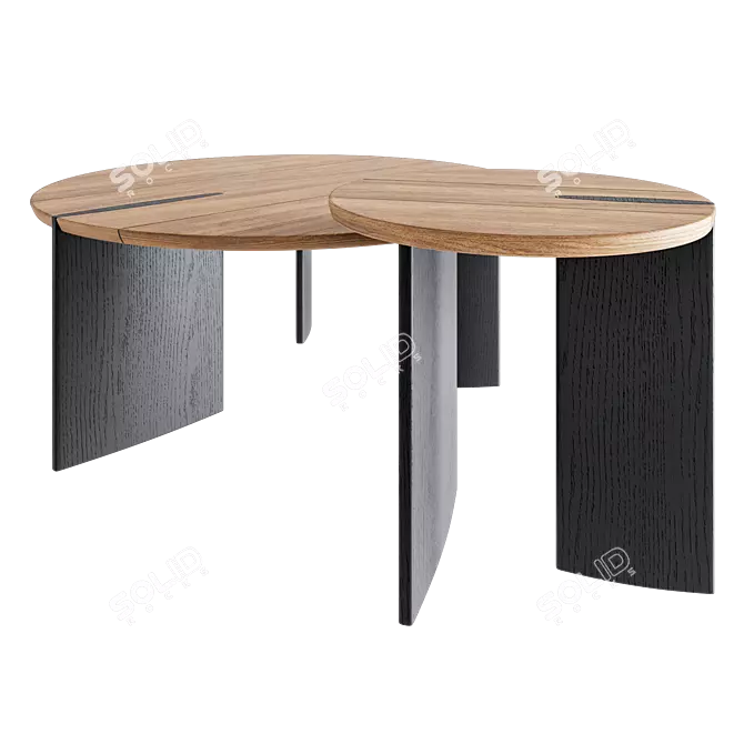 Shona Nesting Coffee Tables Set 3D model image 2