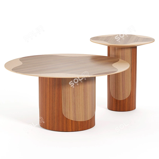 Leyden Tables by Brunomoinardedition 3D model image 1