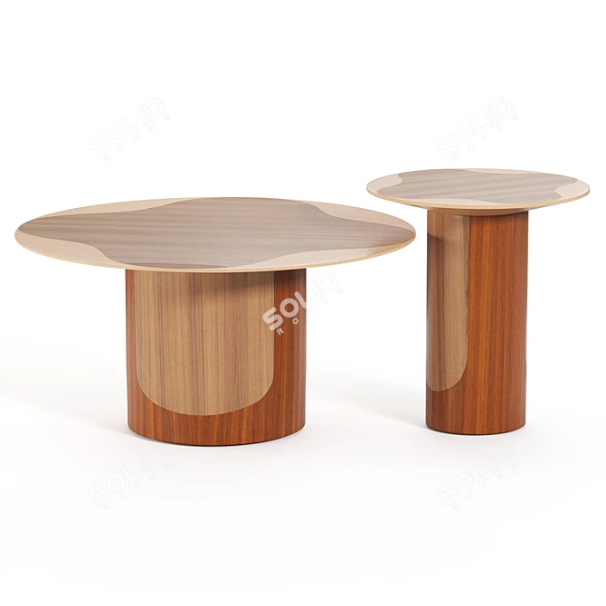 Leyden Tables by Brunomoinardedition 3D model image 2