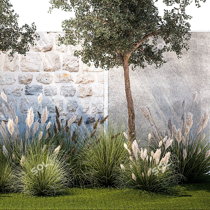 Decorative Plants Collection for Landscaping 3D model image 4