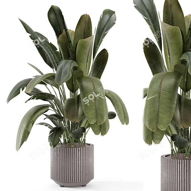 Handmade Stone Pot Indoor Plants 3D model image 2