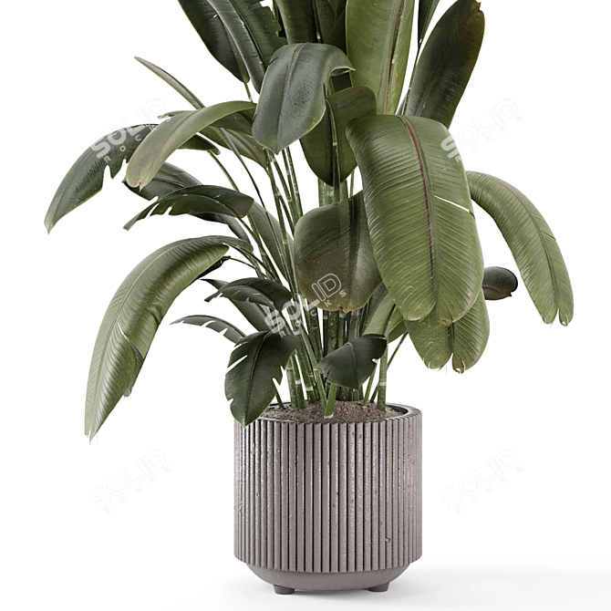 Handmade Stone Pot Indoor Plants 3D model image 4